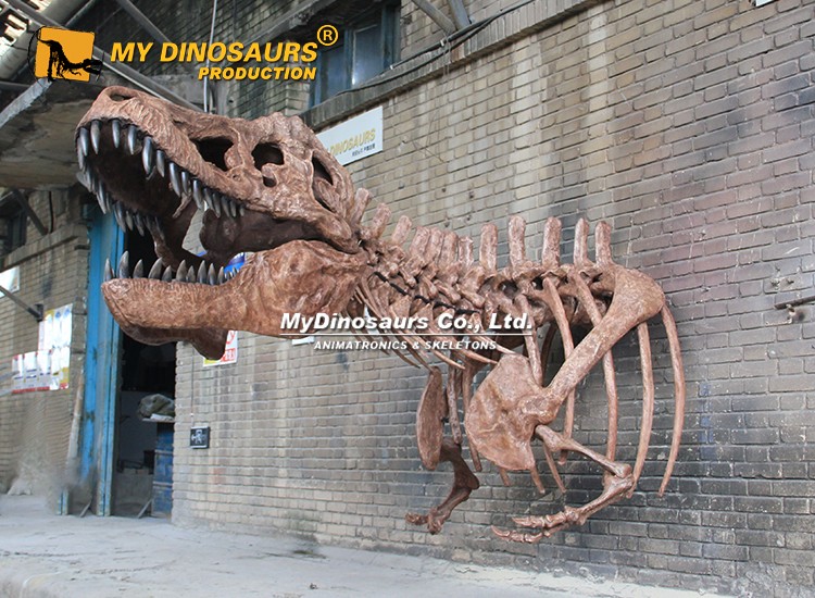 Wall Mounted T-rex Skull 4 Wall Mounted T-rex Skull 4