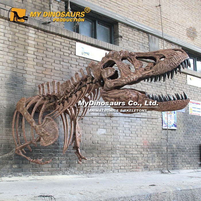 Wall Mounted T-rex Skull Wall Mounted T-rex Skull