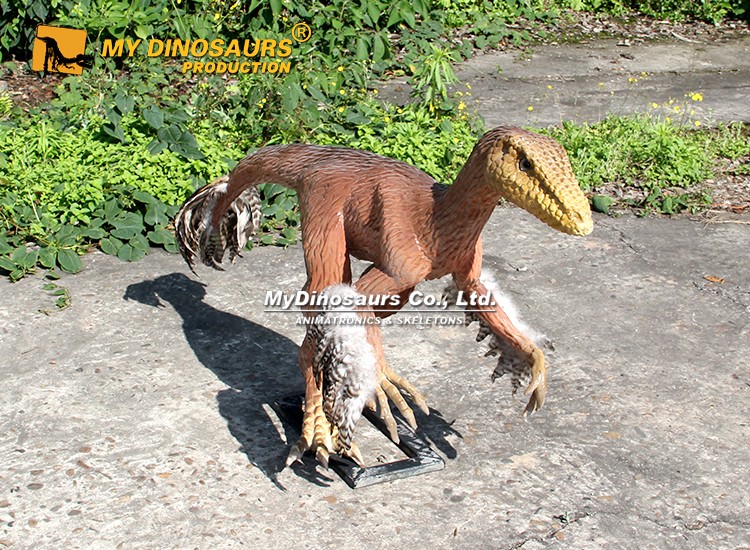 Life-size Bambiraptor Statue 4