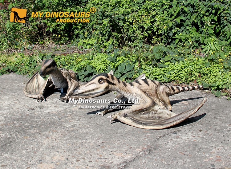 Small PterosaurSordes Statue 3