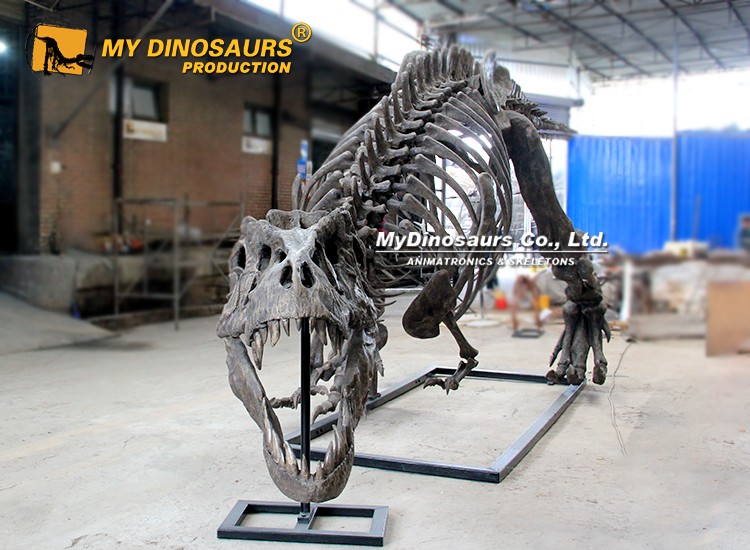 t-rex (3) t-rex (3)