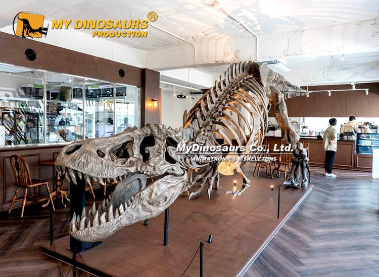 t-rex (2) t-rex (2)