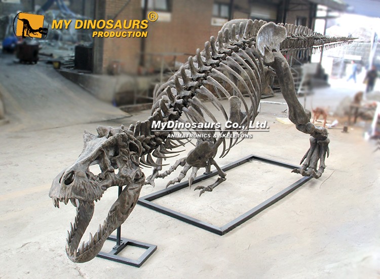 t-rex (4) t-rex (4)