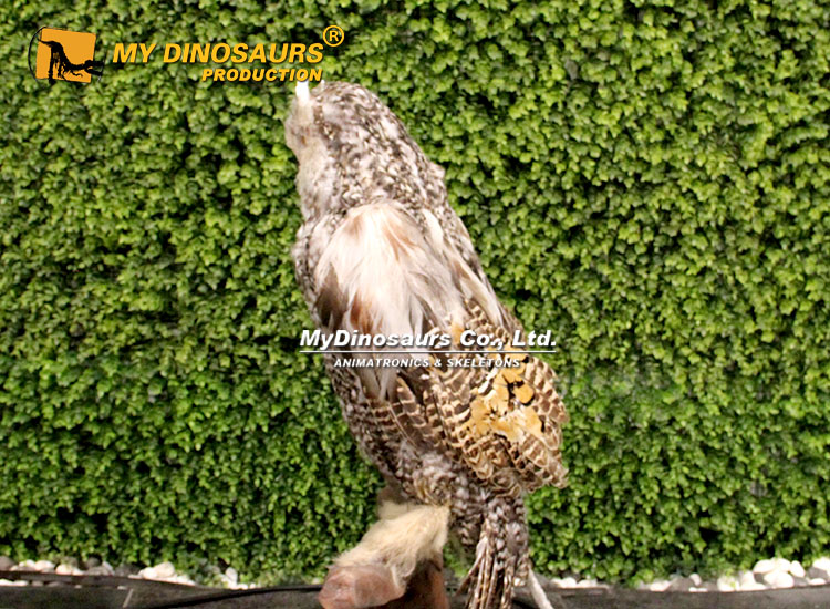 Animatronic Owl 2 Animatronic Owl 2