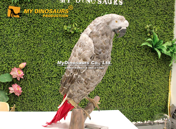 animatronic Parrot African Gray animatronic Parrot African Gray
