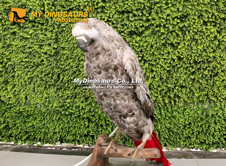 animatronic Parrot African Gray 2 animatronic Parrot African Gray 2